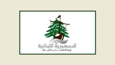 وزارة الاقتصاد: قرارات تعليق تداول بحق 17 مؤسسة لعدم تطابق منتجاتها مع المواصفات