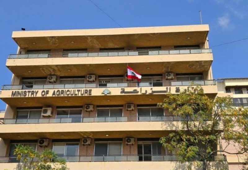 وزارة الزراعة: لحماية الثروة السمكية والالتزام بالقوانين النافذة