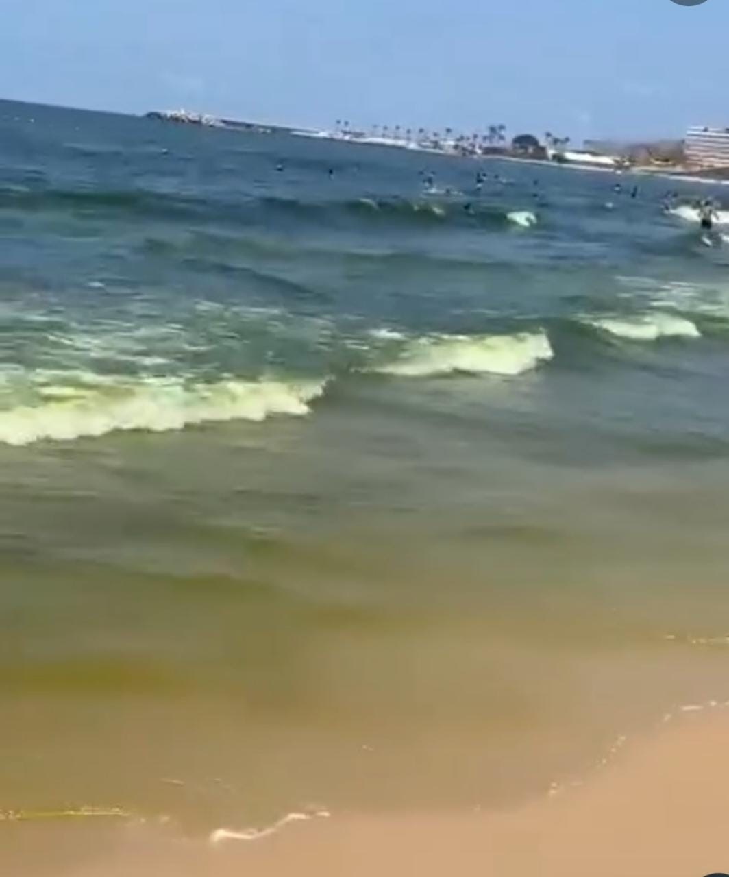 وزارة البيئة: ظاهرة الازدهار الطحلبي المفرط سبب تغيّر لون مياه الرملة البيضاء