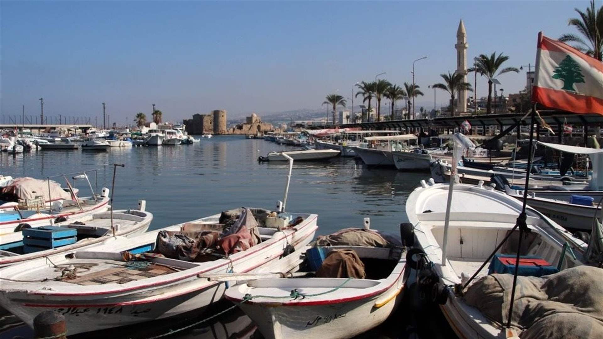 تجمع صيادي لبنان رفض مشروع قانون الصيد واشترط ضوابط بيئية صارمة للاستزراع السمكي